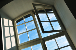 Replacement Windows